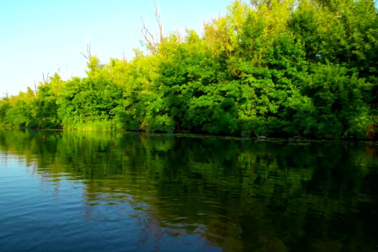 The Art of Pausing: Reflect and Thrive