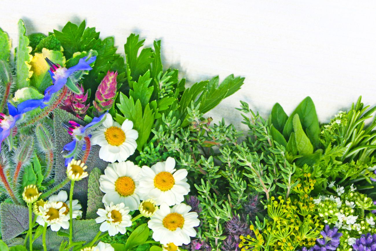 Igniting Your Senses: Exploring the Layers of Fragrance – iNiNi.